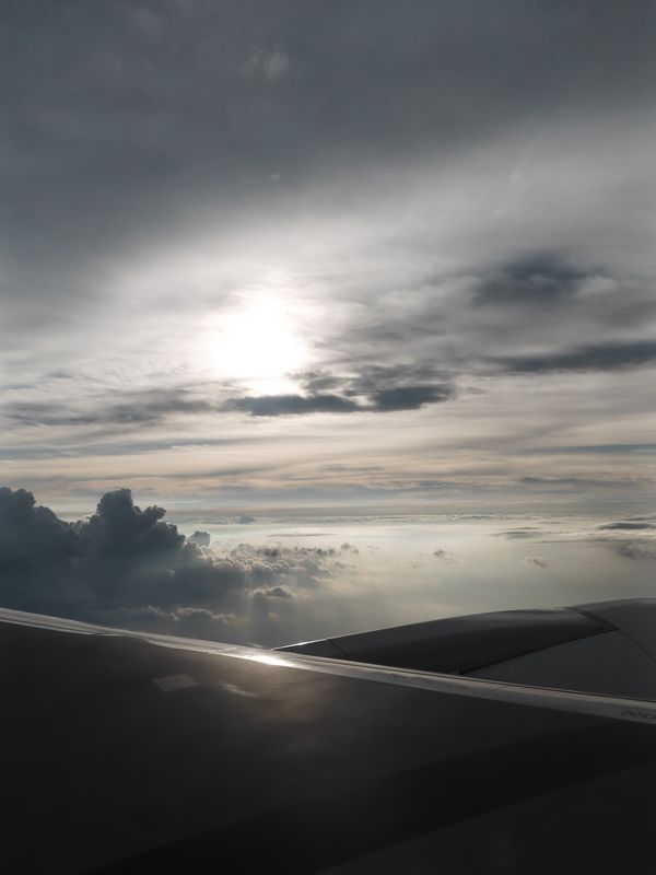 雲海に差す光